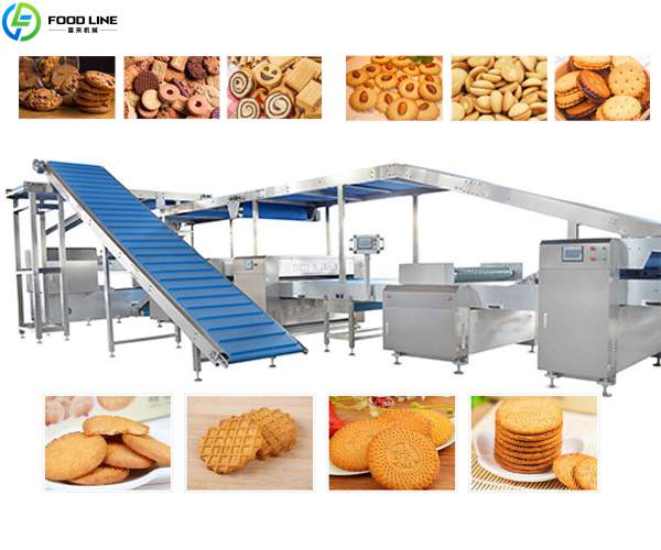 biscuit production line