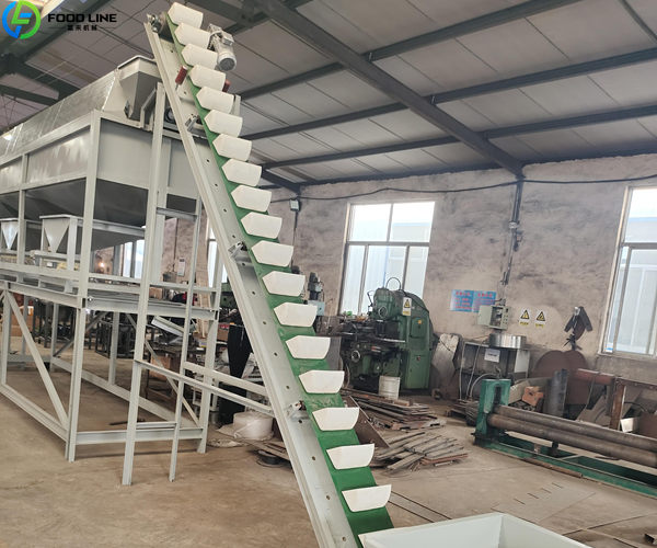 cashew nut elevator