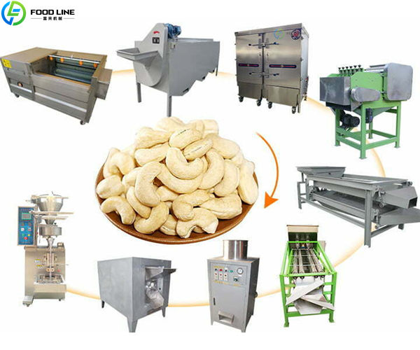 cashew nut processing line