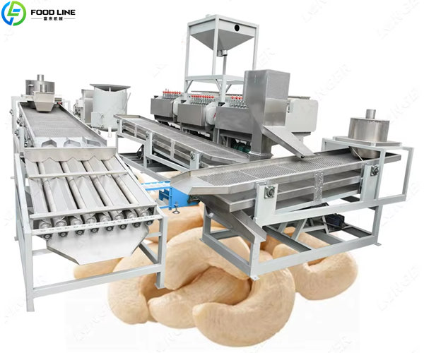 cashew nut production line