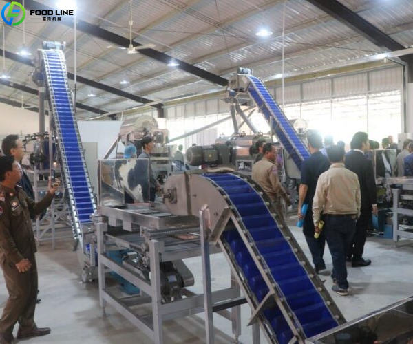 cashew processing machines