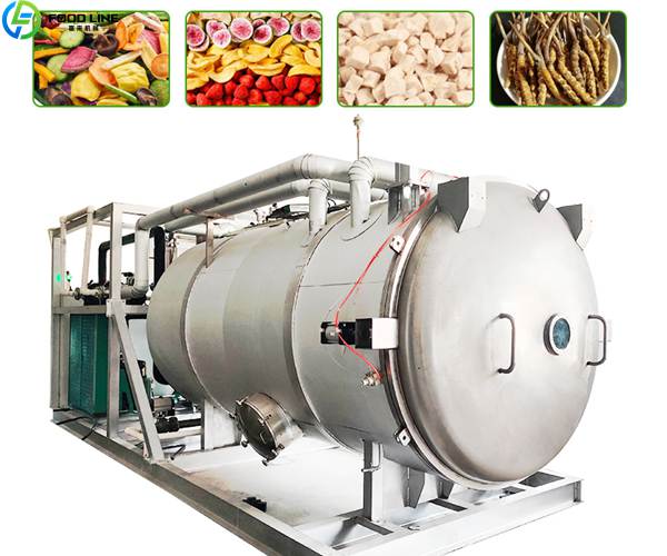 fruit freeze dryer machine