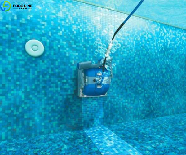 pool cleaner