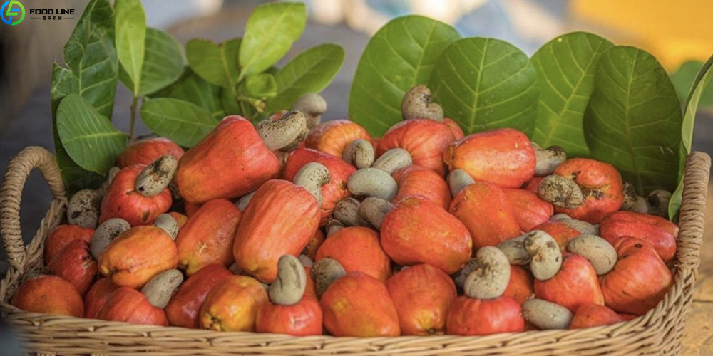 raw cashews