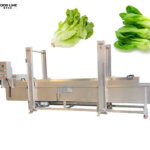 blanching equipment