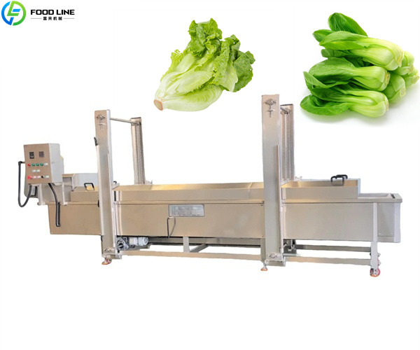 blanching equipment