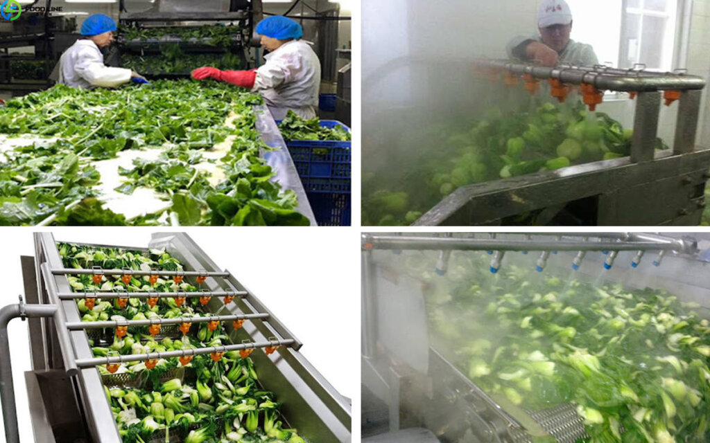 blanching processing
