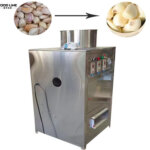 garlic peeling equipment
