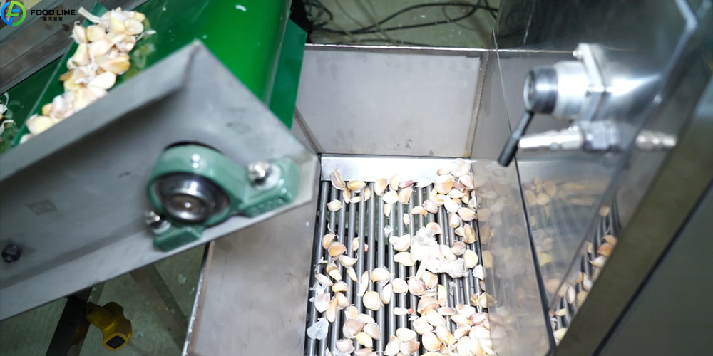garlic peeling machine detail