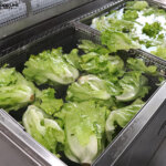 industrial vegetable cleaning machine