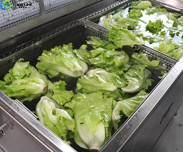 industrial vegetable cleaning machine