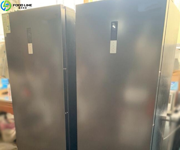 quick freeze refrigerator machine