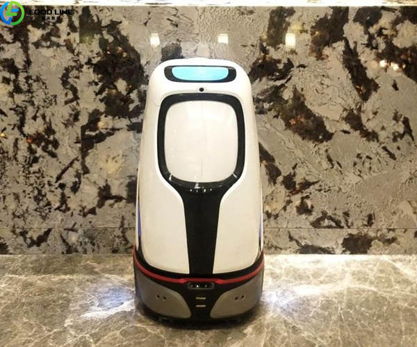 robot service hotel