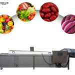 vegetable blancher equipment