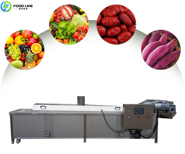 vegetable blancher equipment