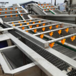 Vegetable Washing Machine Industrial for Sale in the USA vegetable bubble cleaning machine detail