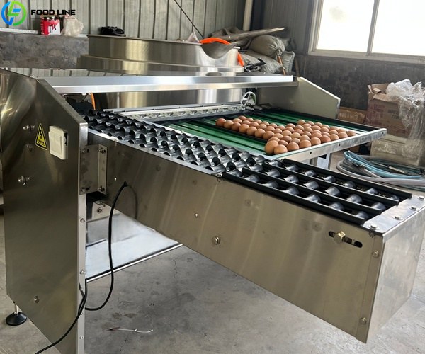 automatic egg grading machine