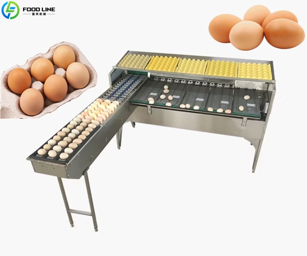 automatic egg sorting equipment