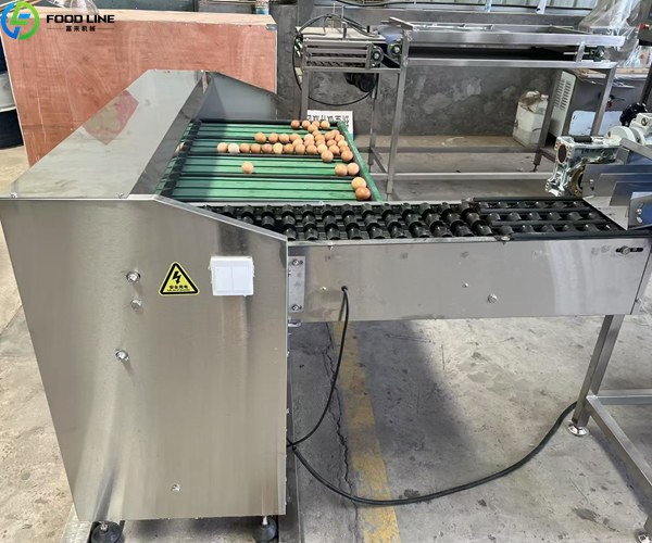 automatic egg sorting machine