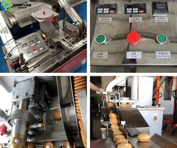 biscuit processing line
