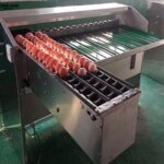 Egg Size Sorting Machine for Sale in Chile chicken egg sorter