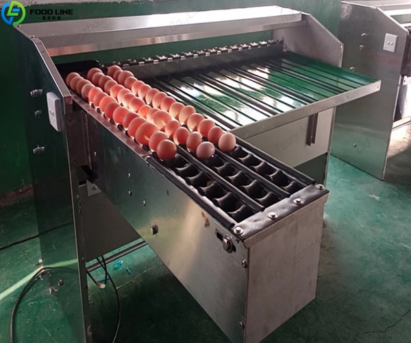 chicken egg sorter
