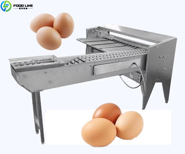 chicken egg sorting machine