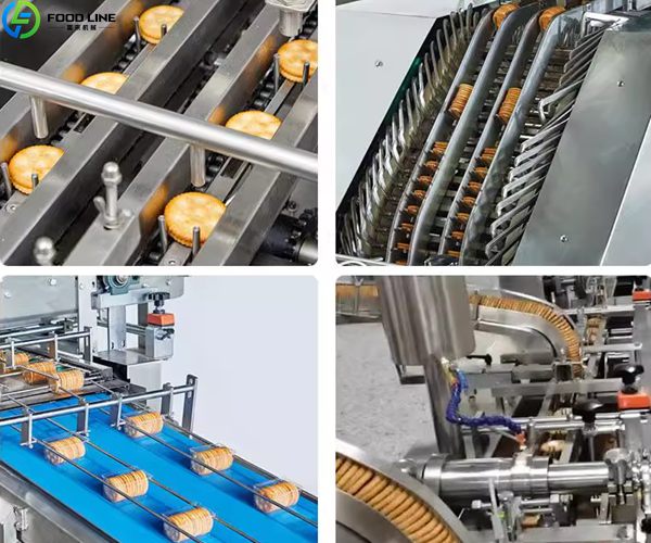 cookie processing line