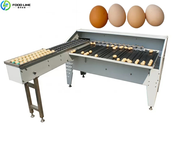 egg grading equipment