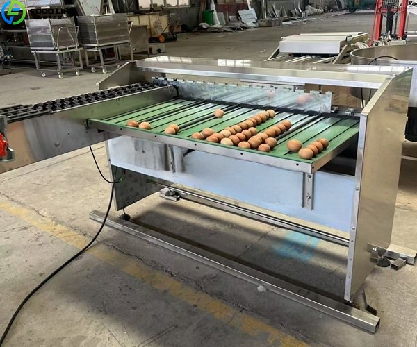egg grading machine