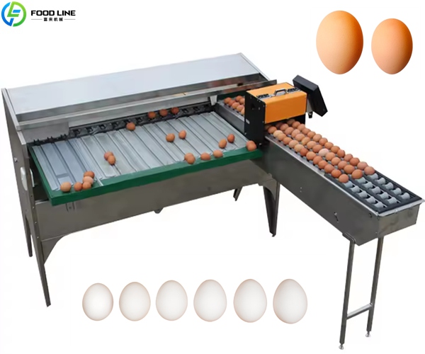 egg size sorting machine