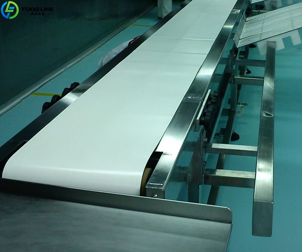 food conveyor belt