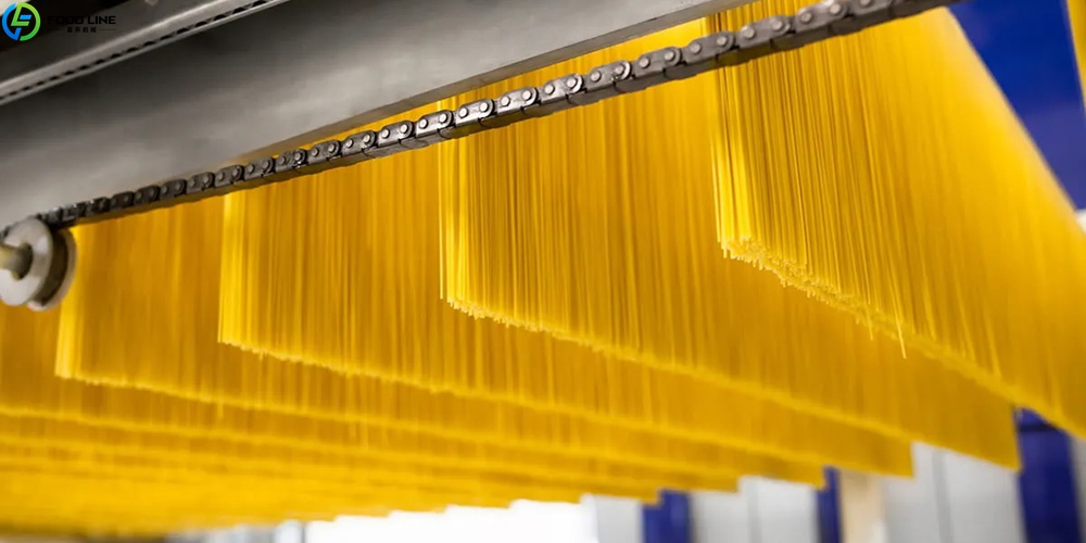 pasta processing equipment