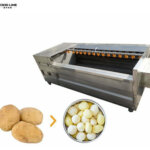 potato cleaning machine price