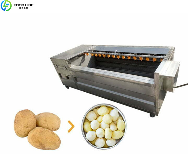 potato cleaning machine price