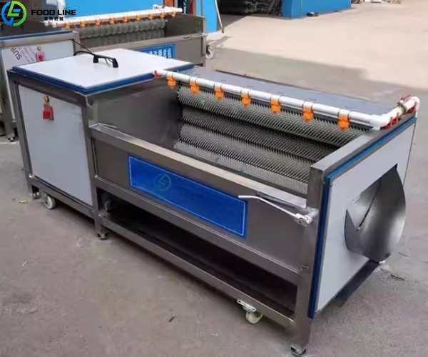 potato washing equipment