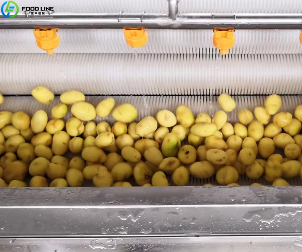 potato washing machine detail
