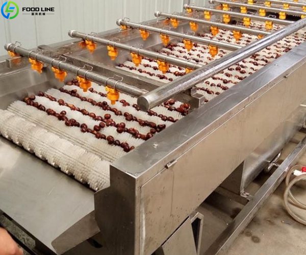 potato washing peeling machine