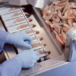 shrimp deveiner machine detail