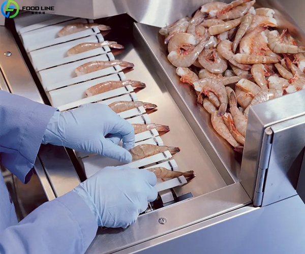 shrimp deveiner machine detail