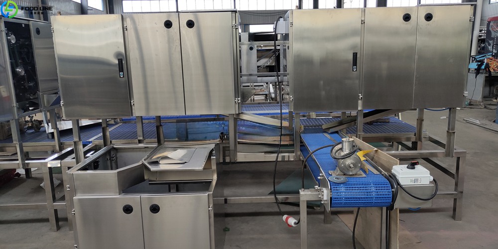 shrimp peeler and deveiner machine