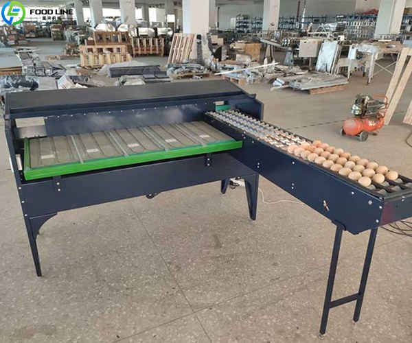 small egg sorting machine