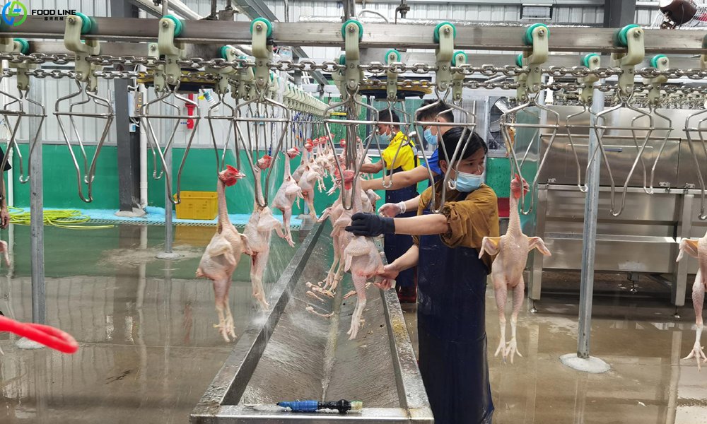 chicken processing production line
