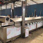 continuous frying device