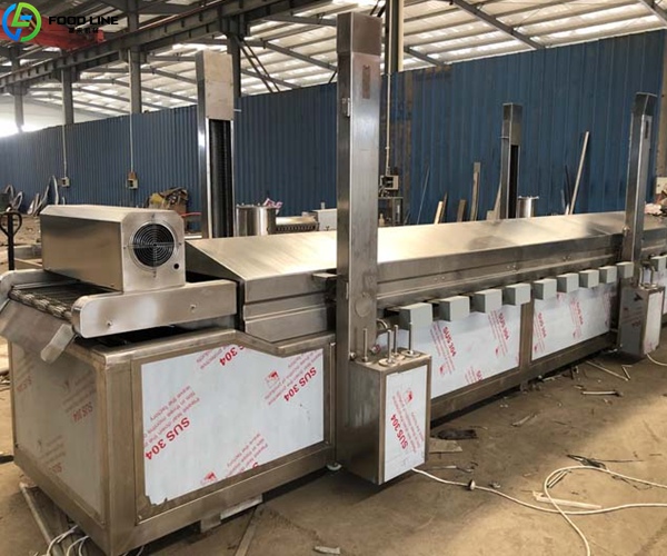 continuous frying device