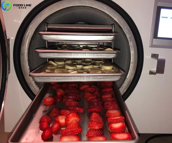 details of home freeze dryer