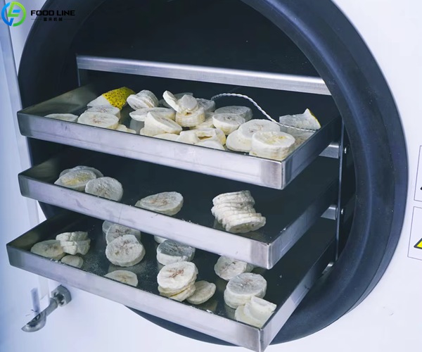 home freeze dryer detail