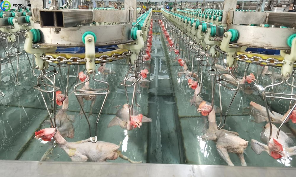 poultry soaking equipment