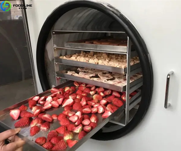 small freeze dryer detail