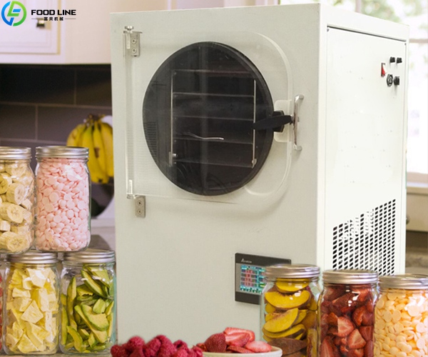 small freeze dryer machine